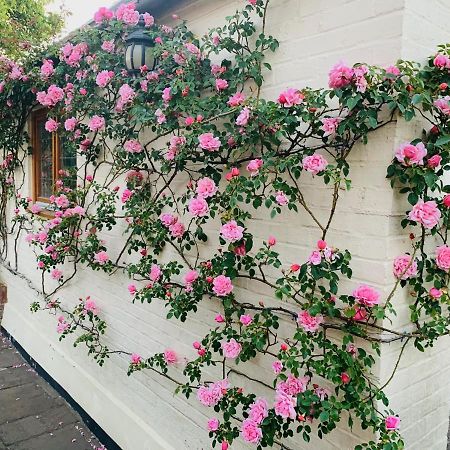 Handywater Cottages Henley-on-Thames Extérieur photo