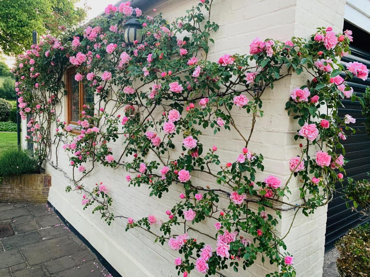 Handywater Cottages Henley-on-Thames Extérieur photo