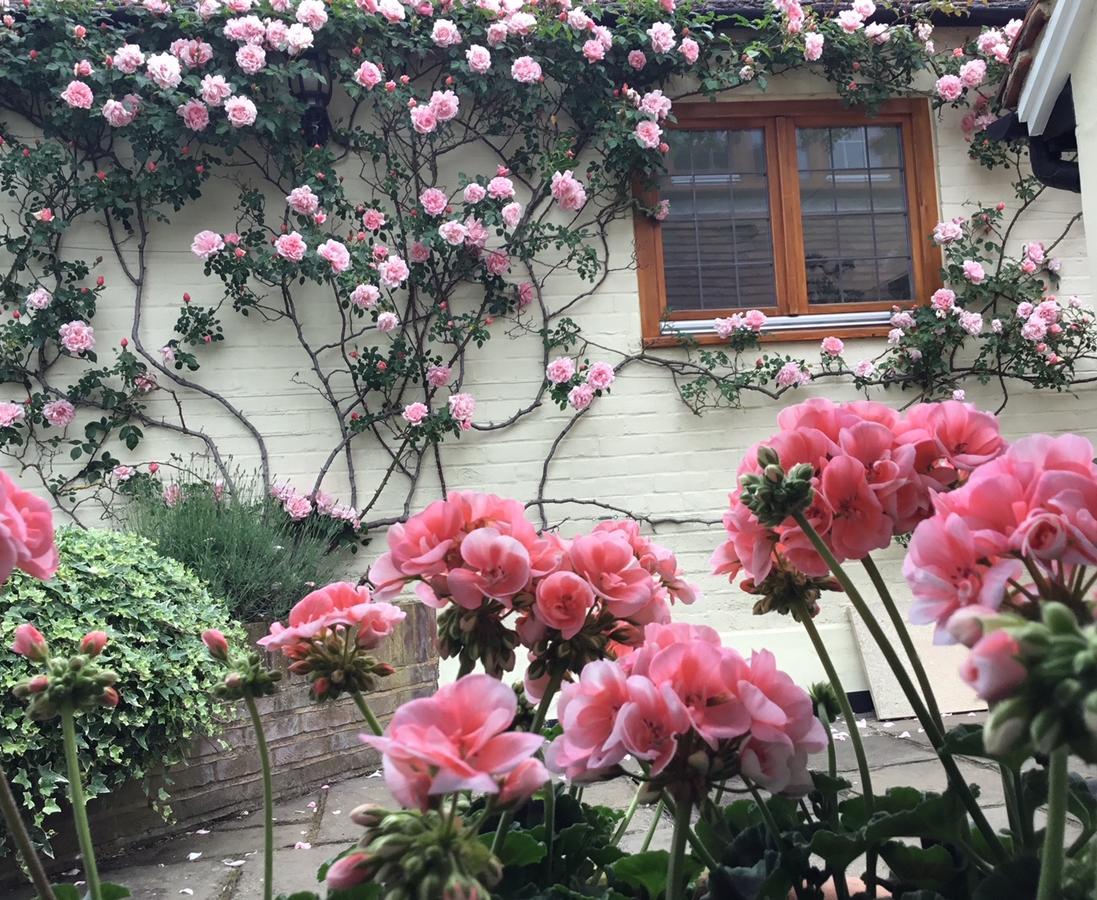 Handywater Cottages Henley-on-Thames Extérieur photo